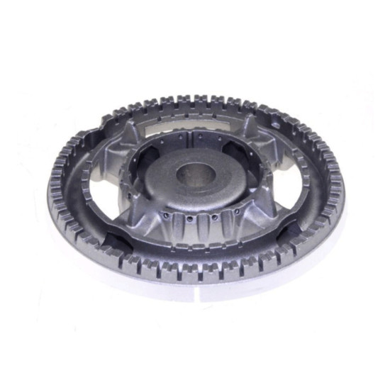 Brûleur central 223900084