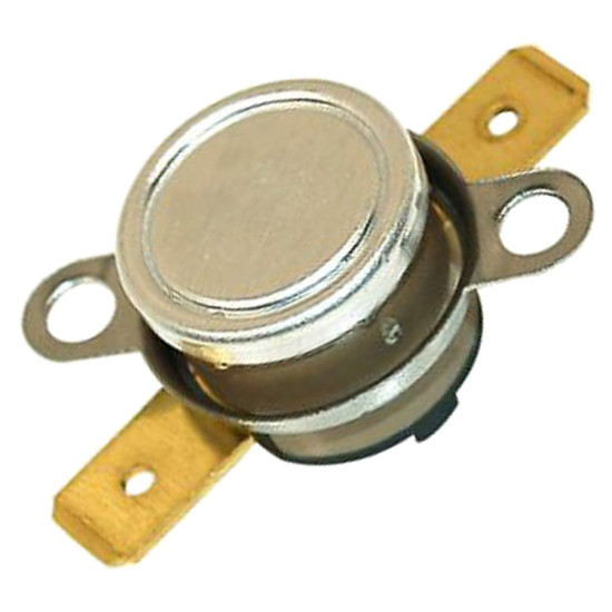 Thermostat 100°c 818731555