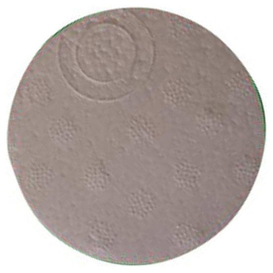 Flotteur 32X2957