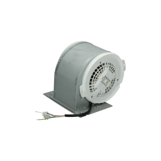 Moteur d'origine 00495859