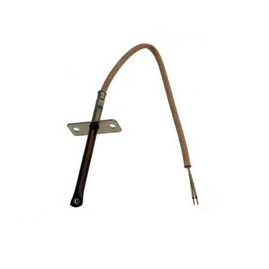 Sonde de température 481221058051