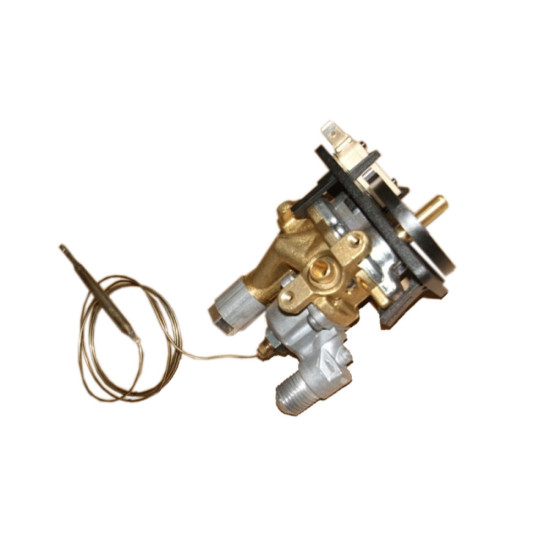 Thermostat 231910111