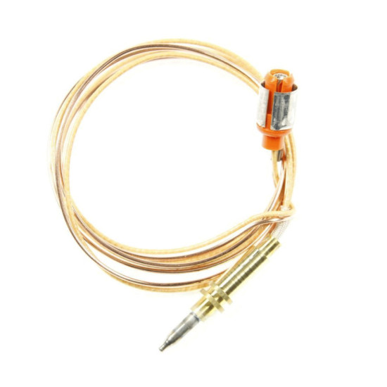 Thermocouple d'origine 12012623