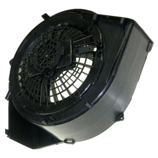 Convoyeur 50243621005