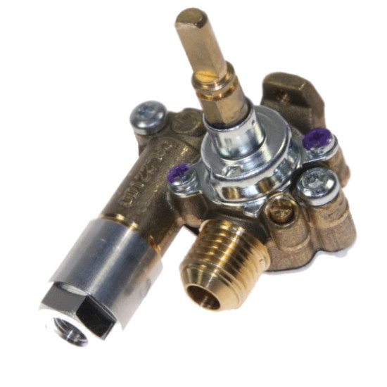 Robinet + thermocouple 0.41 131240089