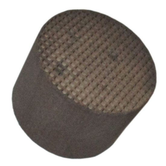 Filtre catalyse 289920007