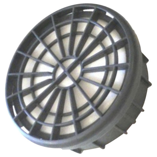 Filtre Hepa H13 107402902