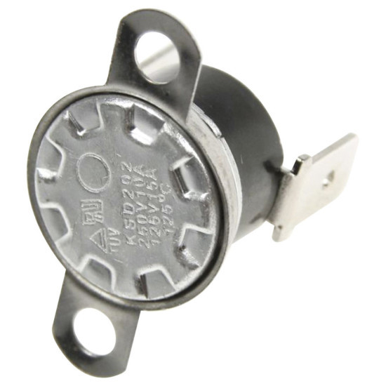 Thermostat 481228248298