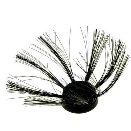 Brosse latérale (a l'unité) 422245954031