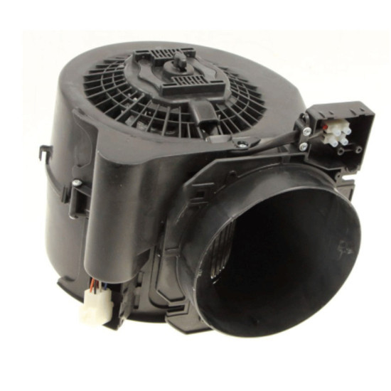 Moteur Y40601