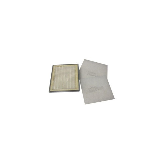 Filtre Hepa 21982500