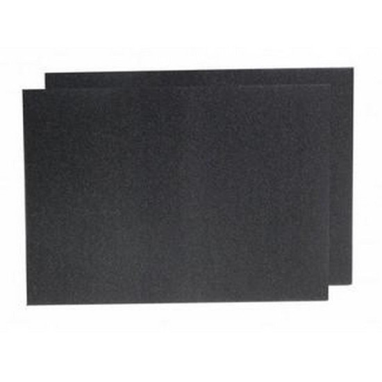 Lot de 2 filtres charbon 79X5942