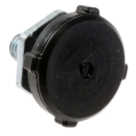 Pied F146341