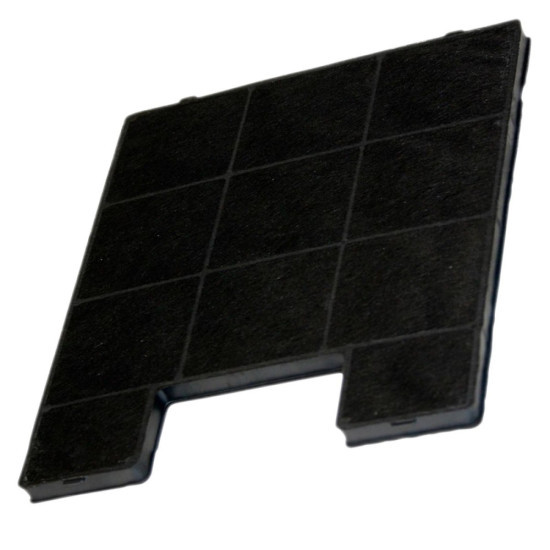 Filtre charbon AH005 180178