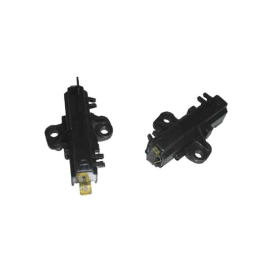 Lot de 2 charbons moteur 481281719402