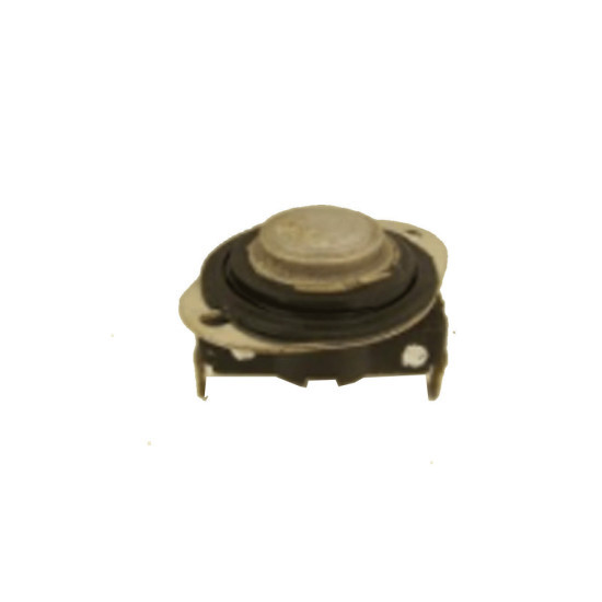Thermostat 481928248228