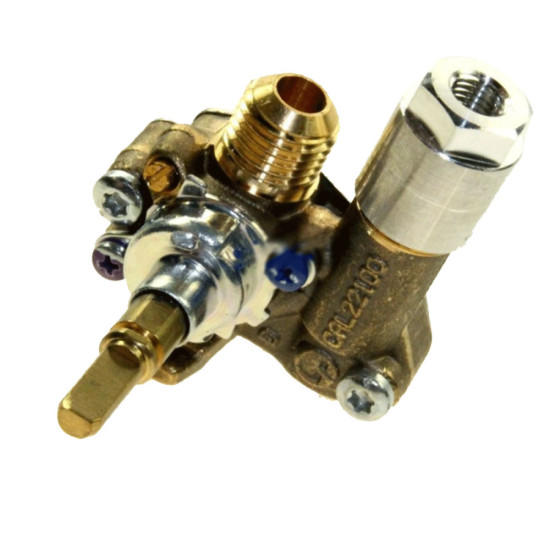 Robinet four + thermocouple 0.32 131240087