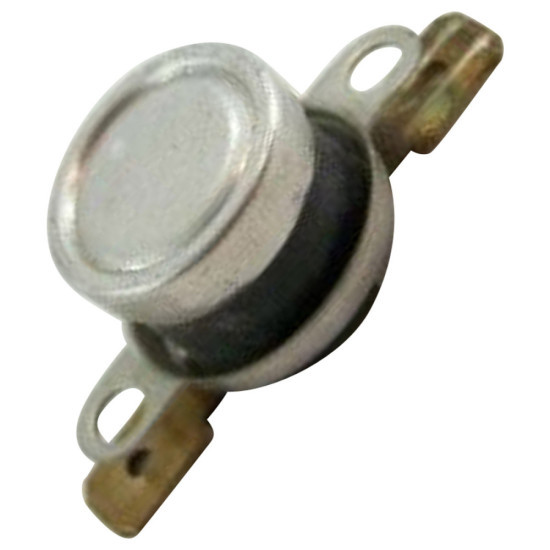 Thermostat 41010134