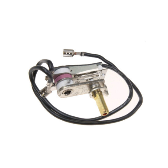 Thermostat TS-01021881