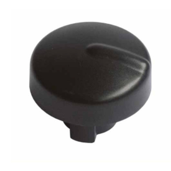 Bouton vapeur 504023