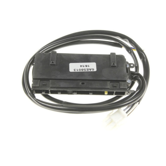 Module 49016013