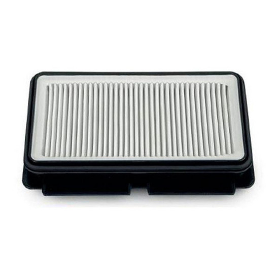 Filtre HEPA ZR902501