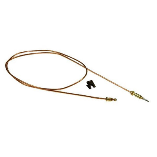 Thermocouple brûleur C00277531