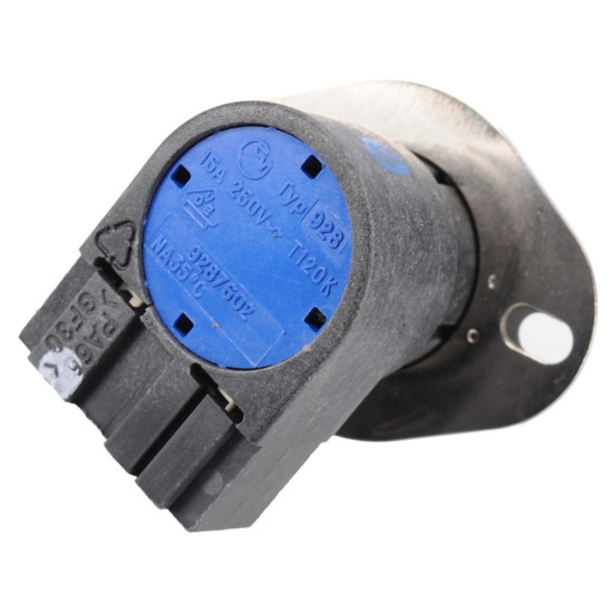 Thermostat 481928228713