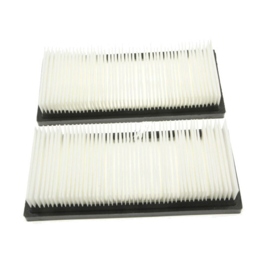 Flat filter pet nano m-class  set 2 pcs 302002842
