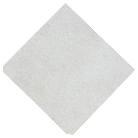 Filtre avant moteur 432200493671