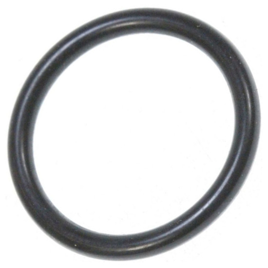 Joint torique thermostat 50241410005