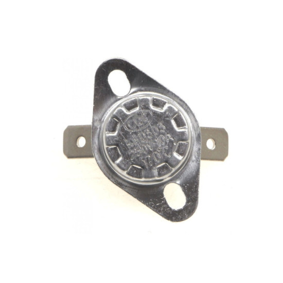 Thermostat 170°C 80060067