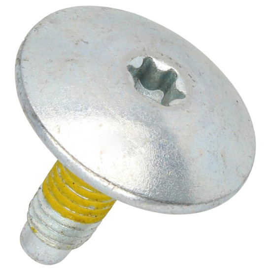 Vis de poulie 41021881