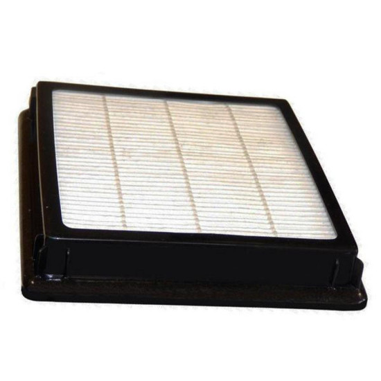 Filtre HEPA 13 complet 21983000