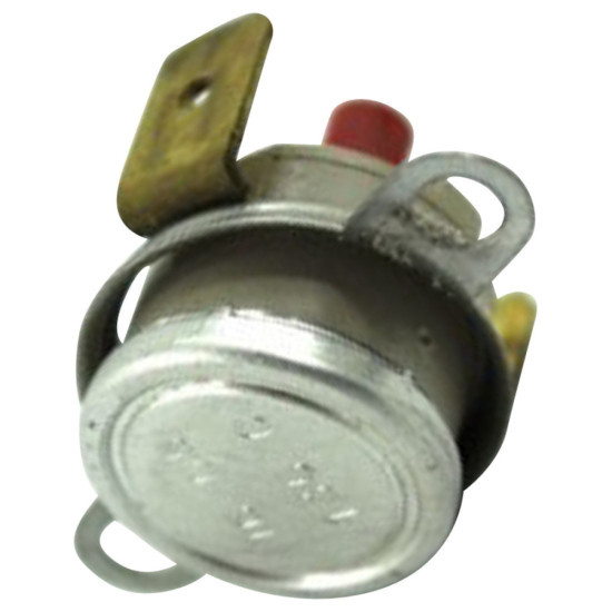 Thermostat 24000651