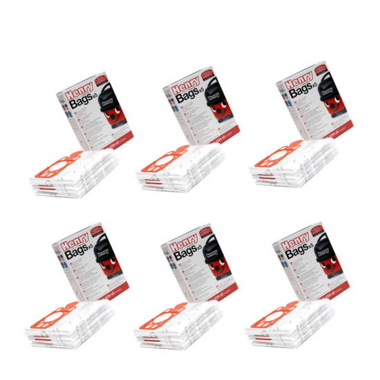 Lot de 6 Boîtes de 5 sacs NVM1CH, NVM-1CH
