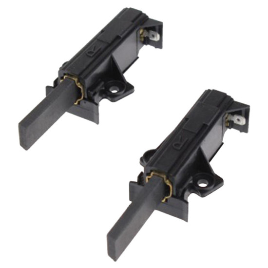 Charbon moteur(x2) 481236248444