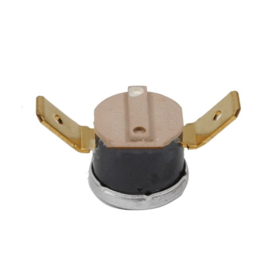 Thermostat 1170000100