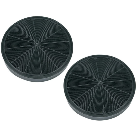 Lot de 2 filtres charbon type 196 484000008674