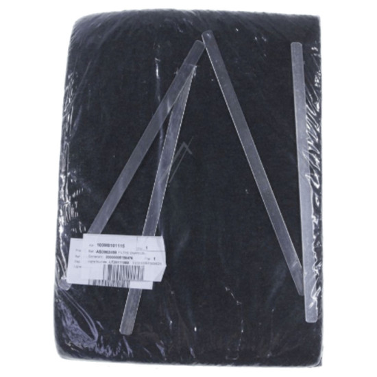 Lot de 2 filtres charbon AS0062459