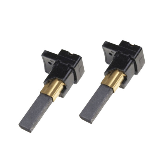 Lot de 2 charbon moteur 0058562