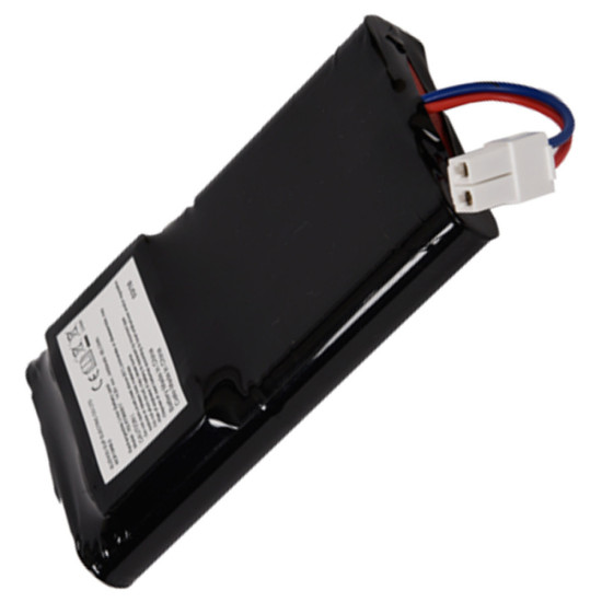 Batterie RS-RT900817