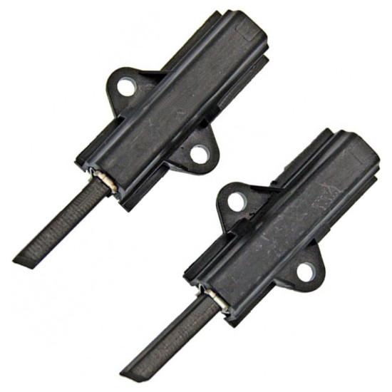 Charbon moteur (x2) C00196545