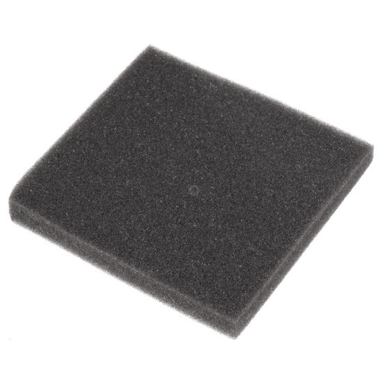 Filtre éponge d'origine 4055296661