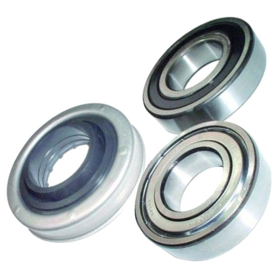 Kit paliers roulements + joint C00202418