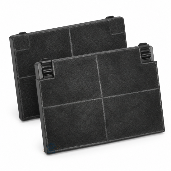 Lot de 2 filtres charbon ROBLIN 5403001 193x137x20mm 484000008781, EFF70