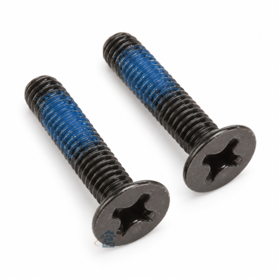 Lot de 2 vis pour brosse à plumeau FAB31798901