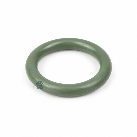 Joint de buse vapeur D.12Mm 5313220031