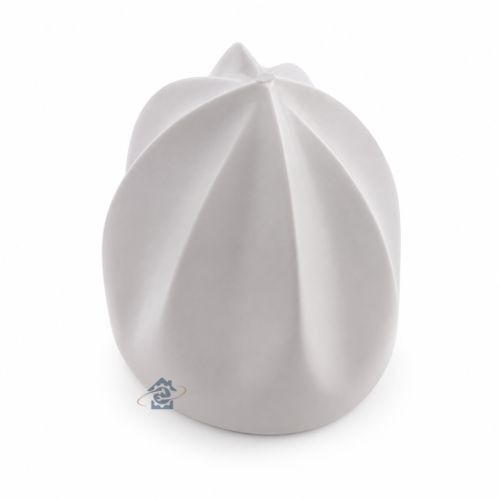 Cône blanc presse agrumes KW663759