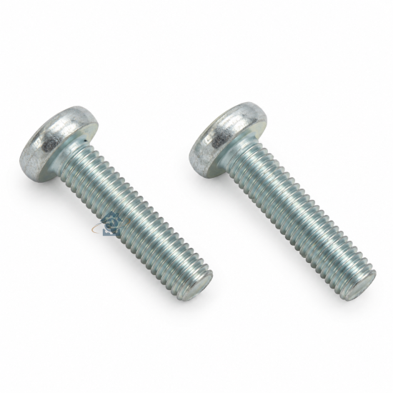 Lot de 2 vis (filtre à charbon type 16) T16CS